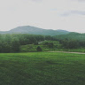 Meet your Posher, Adrienne